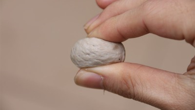 做肉丸用什么可以代替高弹素达到增弹增脆的效果？杏彩体育网
酶制剂