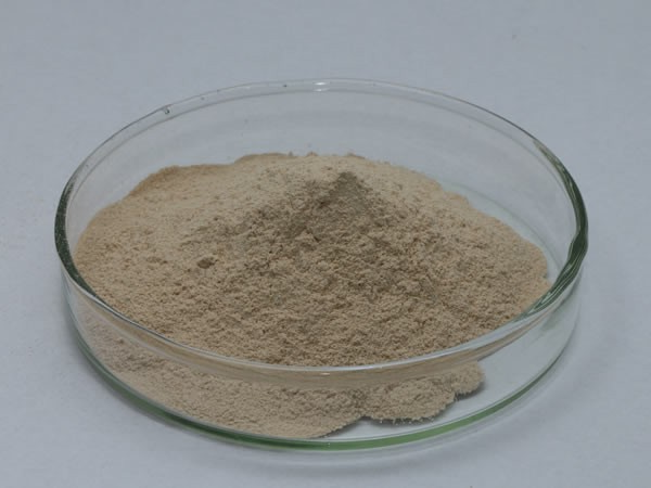 胰酶 Pancreatin