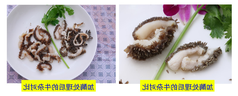 使用效果