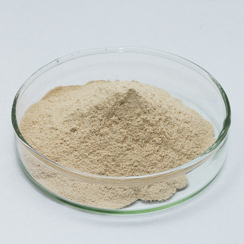 Pancreatin enzymes