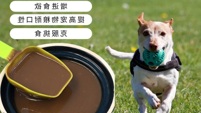 如何酶解鱼肉提高宠物风味剂原料适口性？