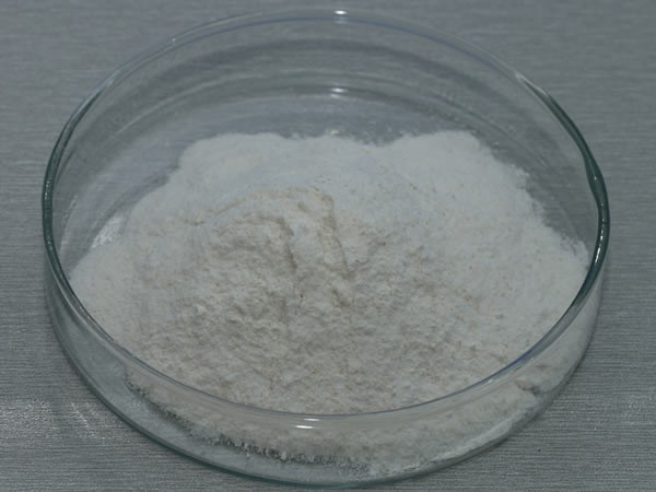 脂肪酶 Lipase