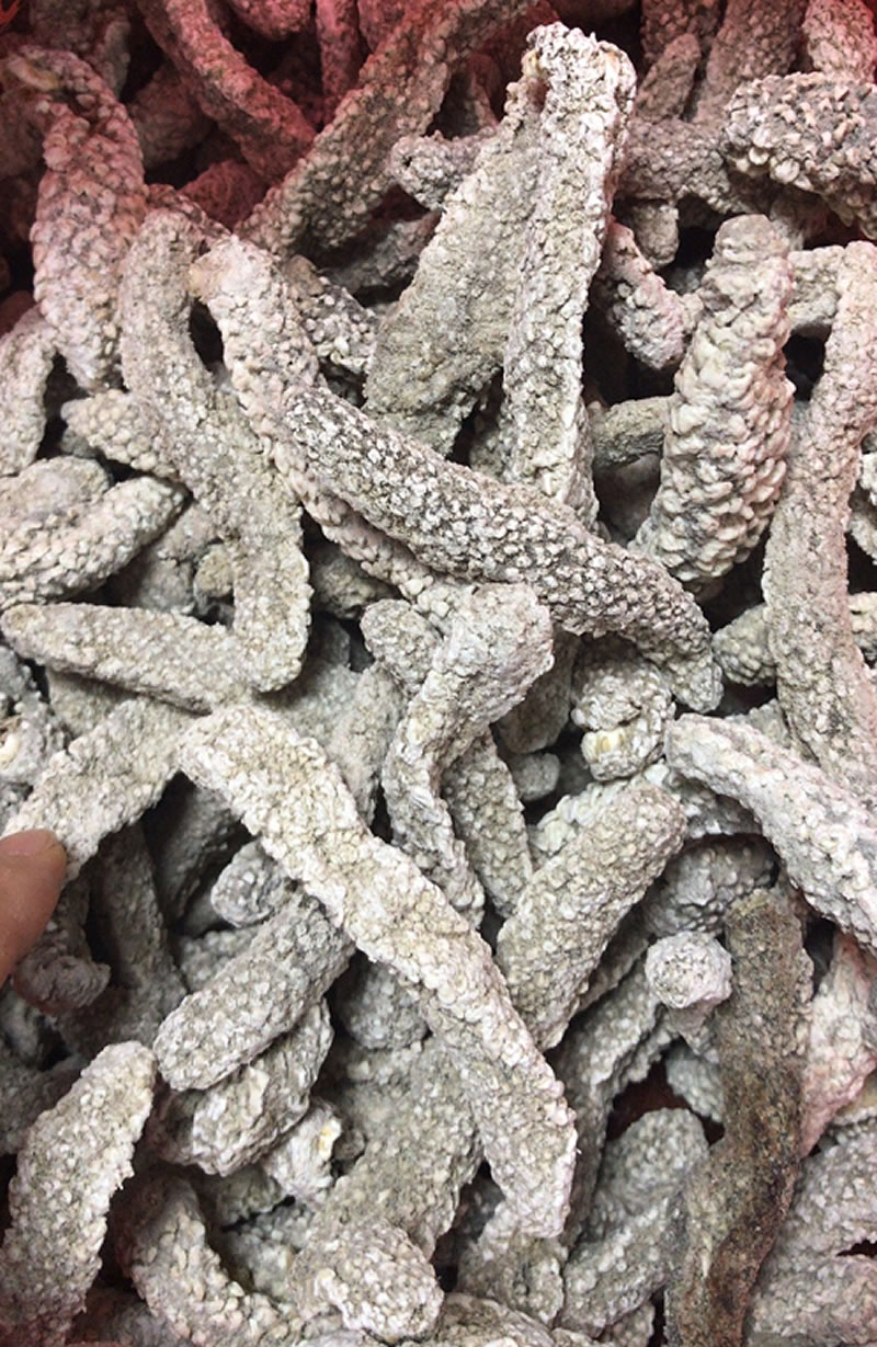 图片 6_r1_c1