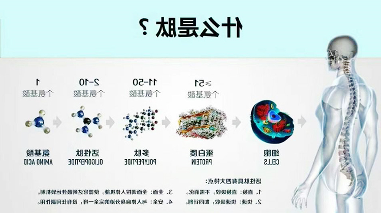 生物活性肽复合酶助力多肽生产