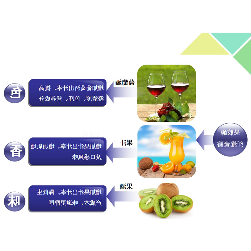 果蔬加工