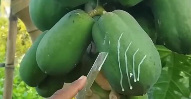 下载