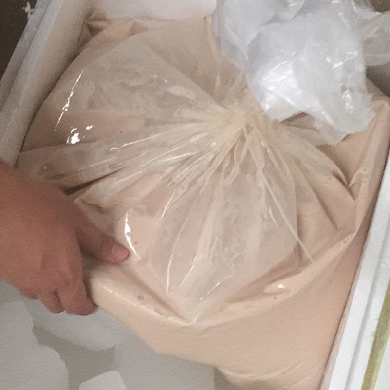 酵母水解酶
