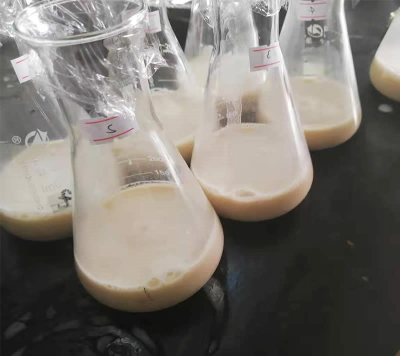酵母水解酶