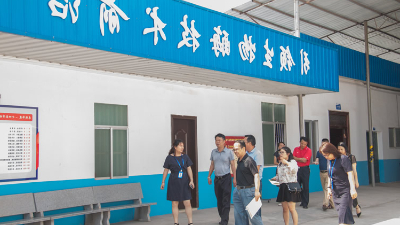 广西城区人大代表一行莅临南宁杏彩体育网
酶制剂参观指导
