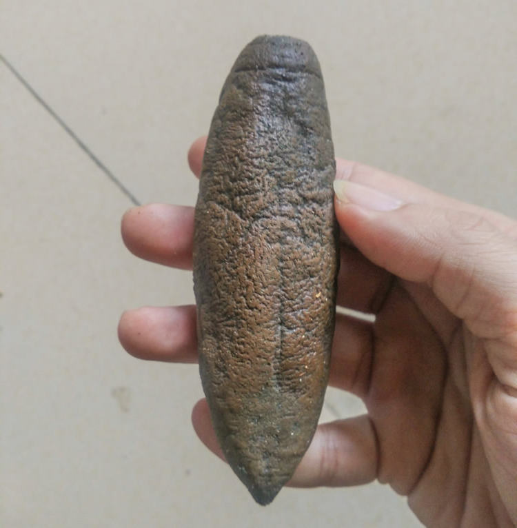 海参脱皮