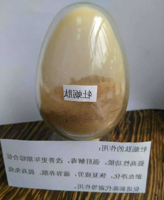 牡蛎肽