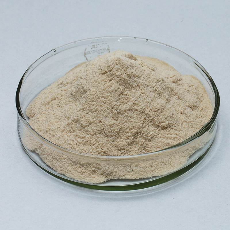 neutral protease