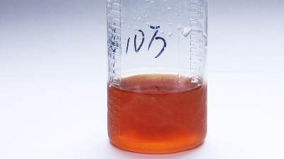 碱性蛋白酶在洗衣液中的作用