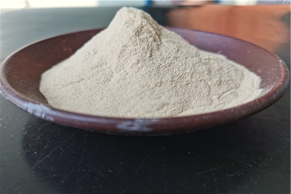 酶解燕麦粉