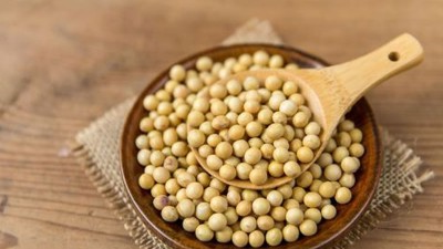 大豆蛋白酶解生产大豆低聚肽的生产工艺