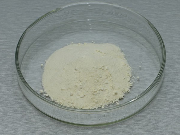 胃蛋白酶 Pepsin