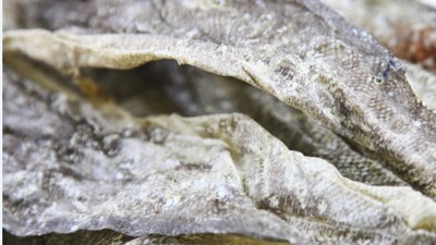 生产900道尔顿胶原蛋白肽，复合蛋白酶的优势有哪些？