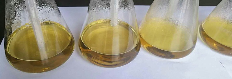 骨蛋白肽
