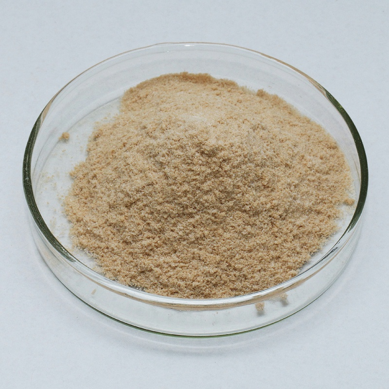 Alkaline protease